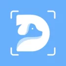 狗狗识别器 AI