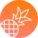 菠萝生成器